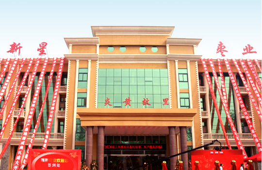 河南省新鄭市新星棗業(yè)有限公司